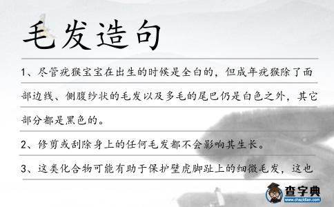 毛發造句