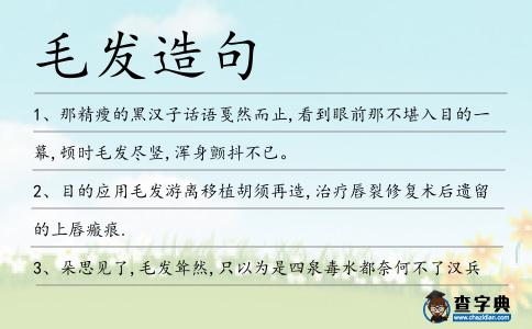 毛發(fā)造句