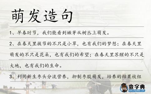 萌發(fā)造句