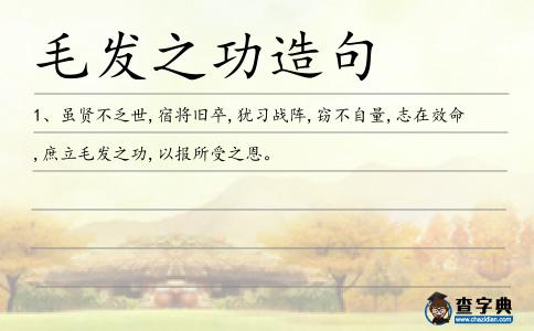 毛發(fā)之功造句