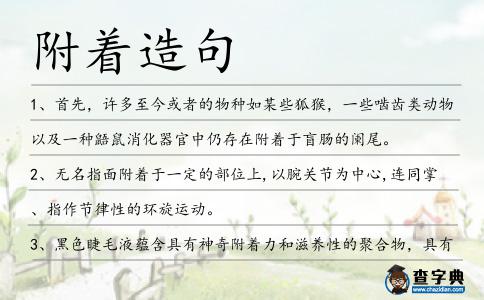 附著造句