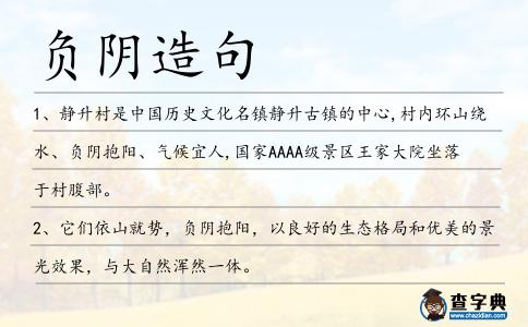 負(fù)陰造句