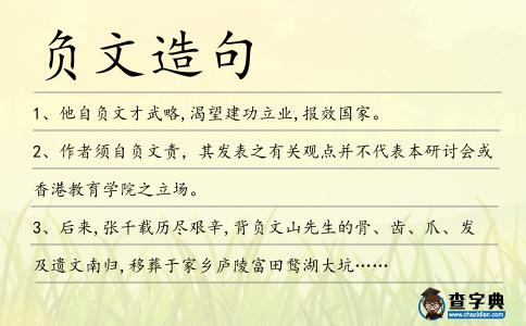 負(fù)文造句