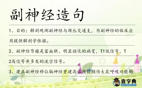 副神經造句
