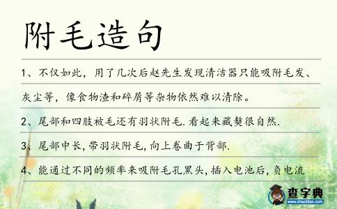 附毛造句