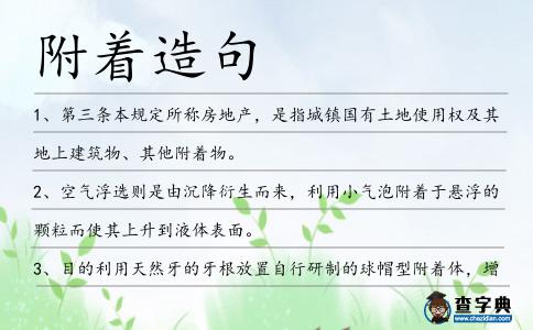 附著造句