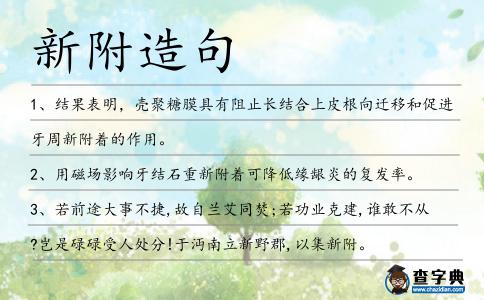 新附造句
