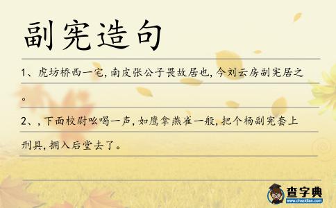 副憲造句