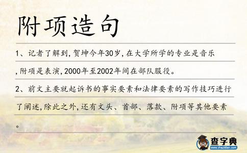 附項造句