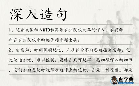 深入造句