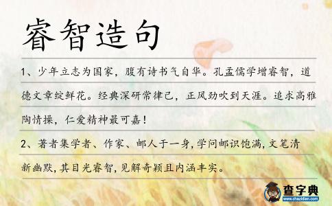睿智造句