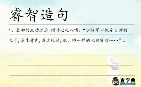 睿智造句