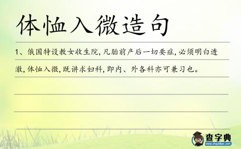 體恤入微造句