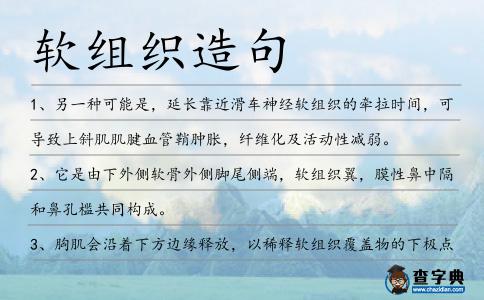 軟組織造句
