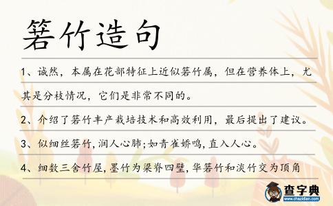 箬竹造句