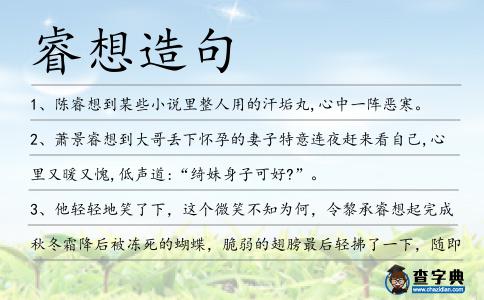 睿想造句