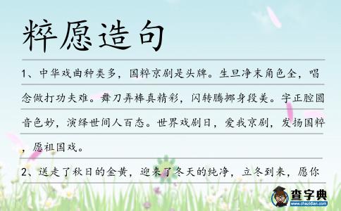 粹愿造句