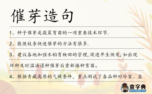 催芽造句