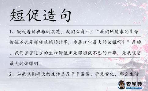 短促造句