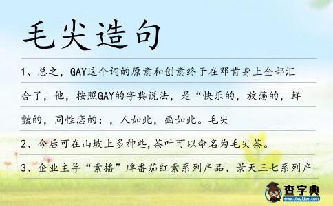 毛尖造句