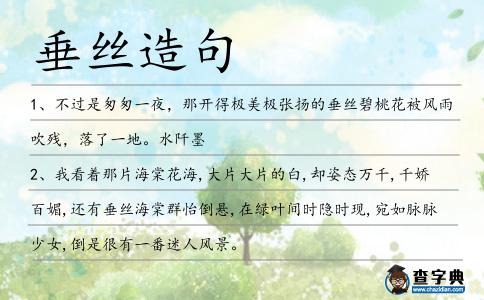 垂絲造句