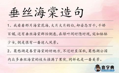 垂絲海棠造句