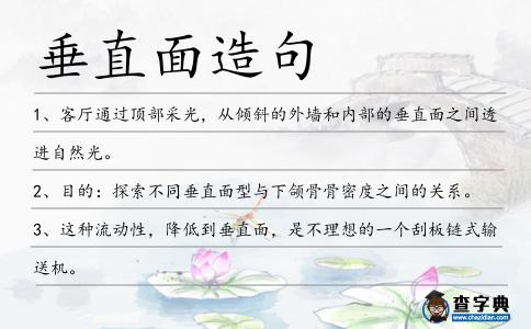 垂直面造句