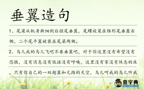 垂翼造句
