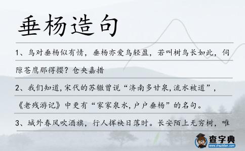 垂楊造句