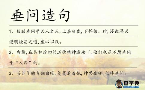 垂問造句