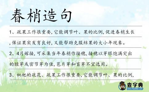 春梢造句
