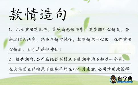 款情造句