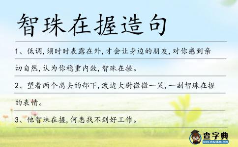 智珠在握造句