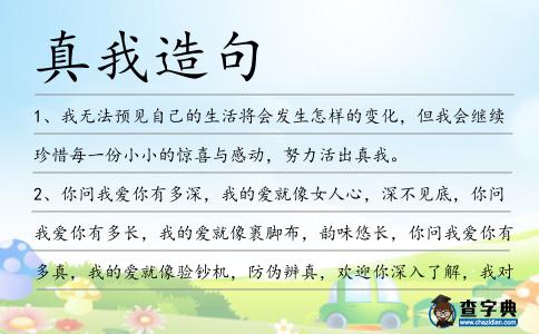 真我造句