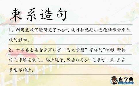 束系造句