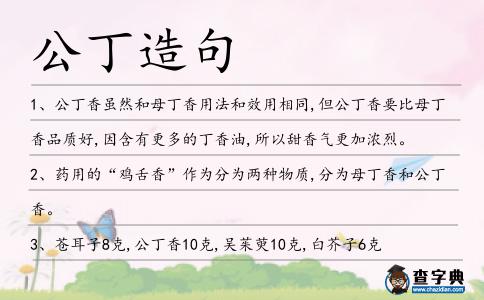 公丁造句