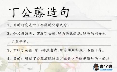 丁公藤造句