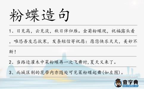 粉蝶造句
