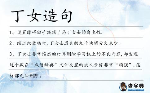 丁女造句