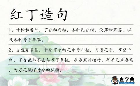 紅丁造句