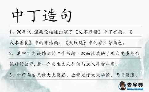 中丁造句