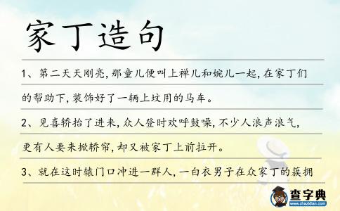 家丁造句