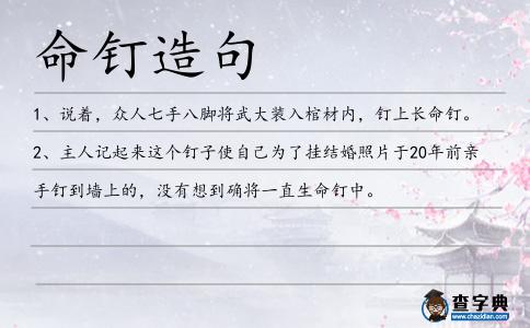 命釘造句