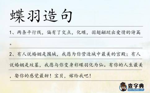 蝶羽造句