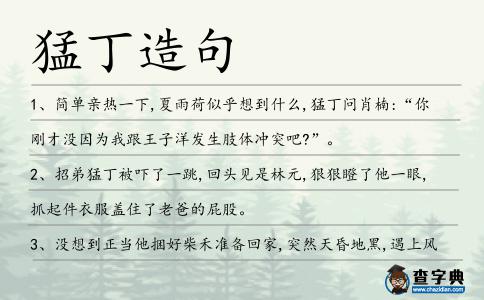 猛丁造句