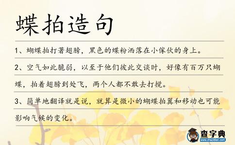 蝶拍造句