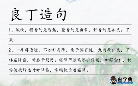 良丁造句