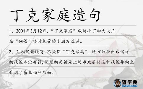 丁克家庭造句