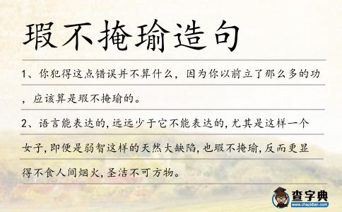 瑕不掩瑜造句