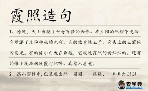霞照造句